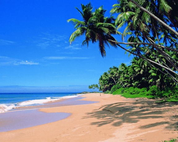 Goa-AusIndia-Travel